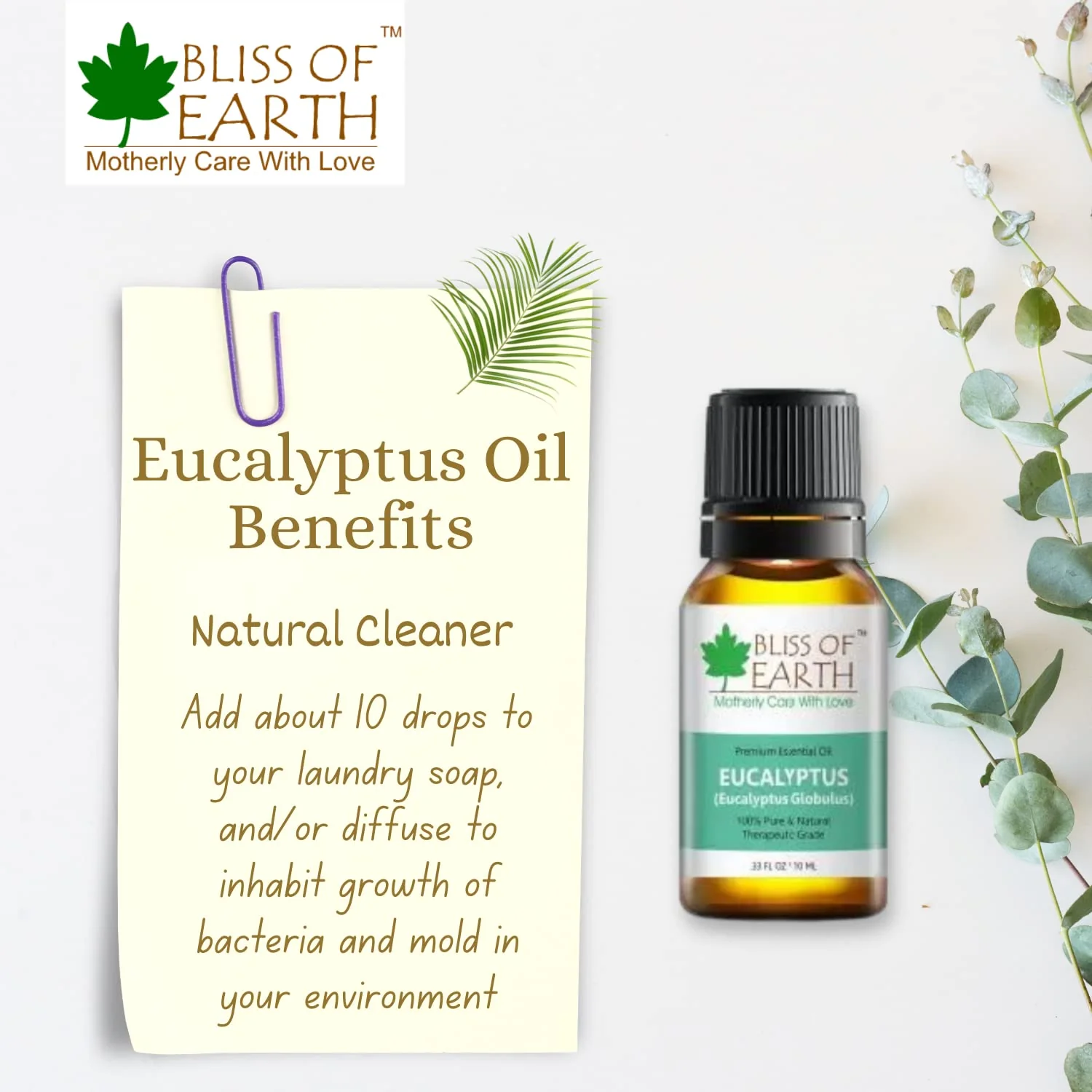 Bliss of Earth 100% Pure Eucalyptus & Cedarwood Essential Oils Combo (10ml) for Mosquito & Bug Repelling (Pack of 2) - Image 4