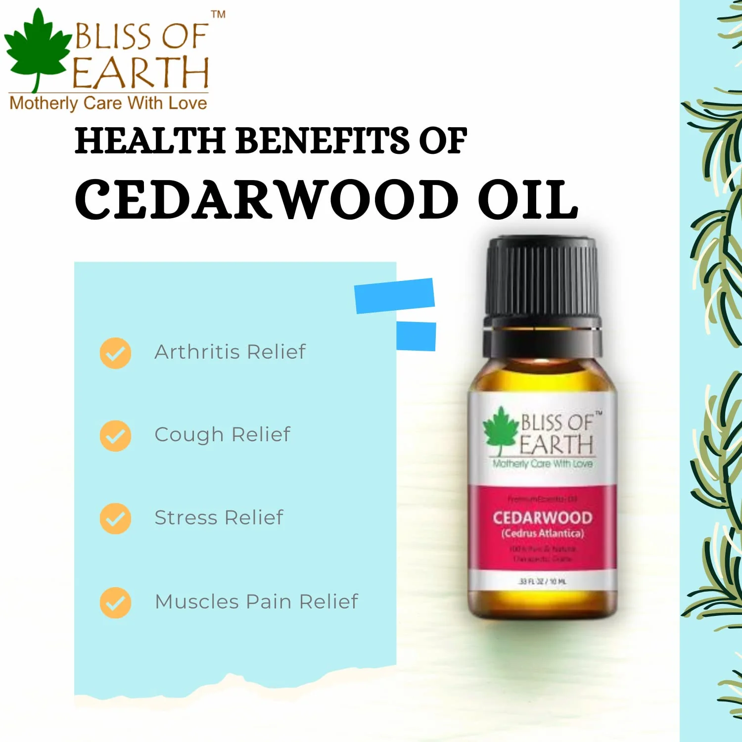 Bliss of Earth 100% Pure Eucalyptus & Cedarwood Essential Oils Combo (10ml) for Mosquito & Bug Repelling (Pack of 2) - Image 6