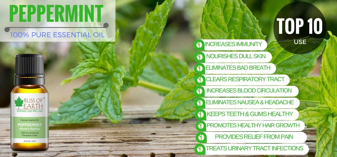 Peppermint Essential Oil - Image 6